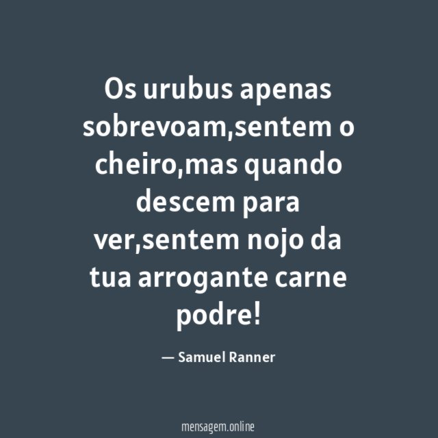 Os urubus apenas sobrevoam