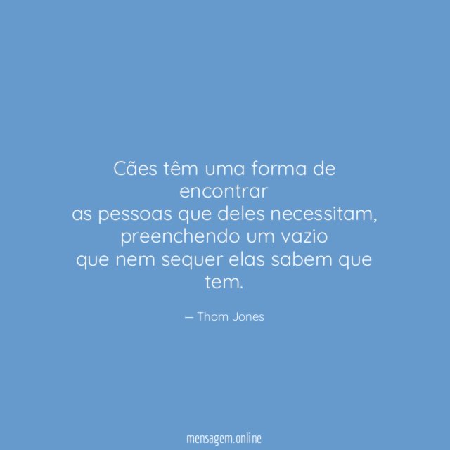 Cães têm uma forma de encontrar as pessoas que