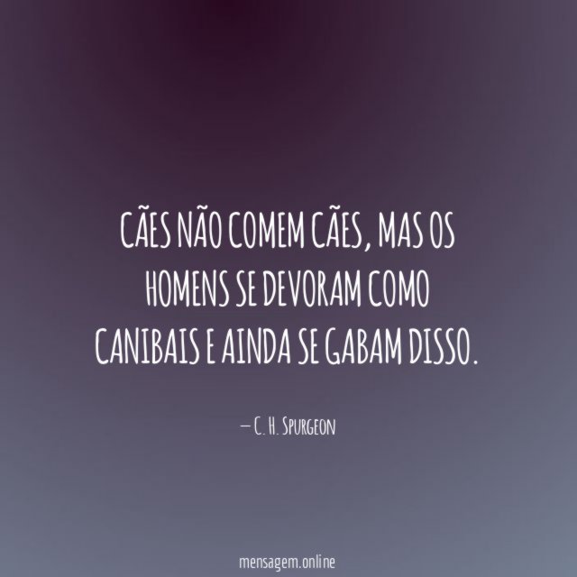 Cães não comem cães