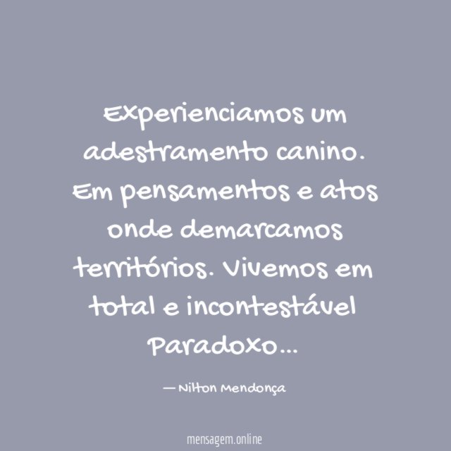 Experienciamos um adestramento canino