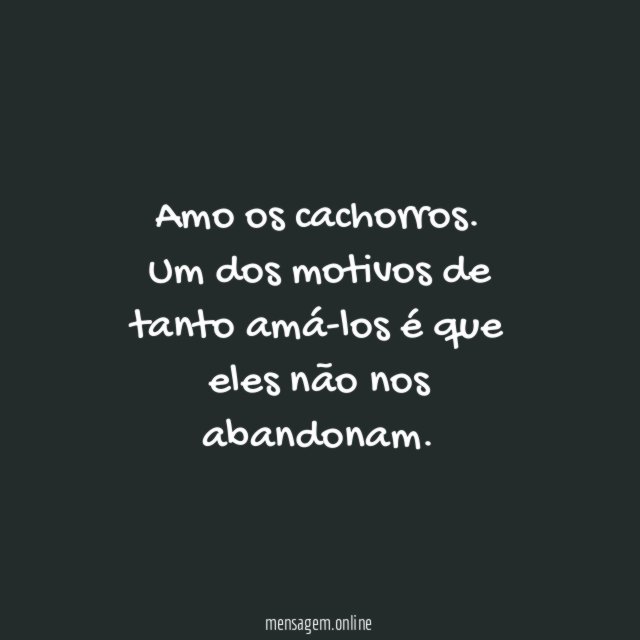 Amo os cachorros