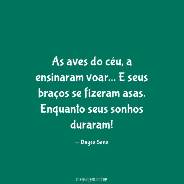As aves do céu