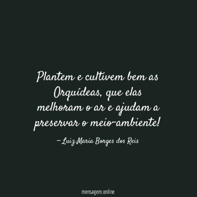 Plantem e cultivem bem as Orquídeas