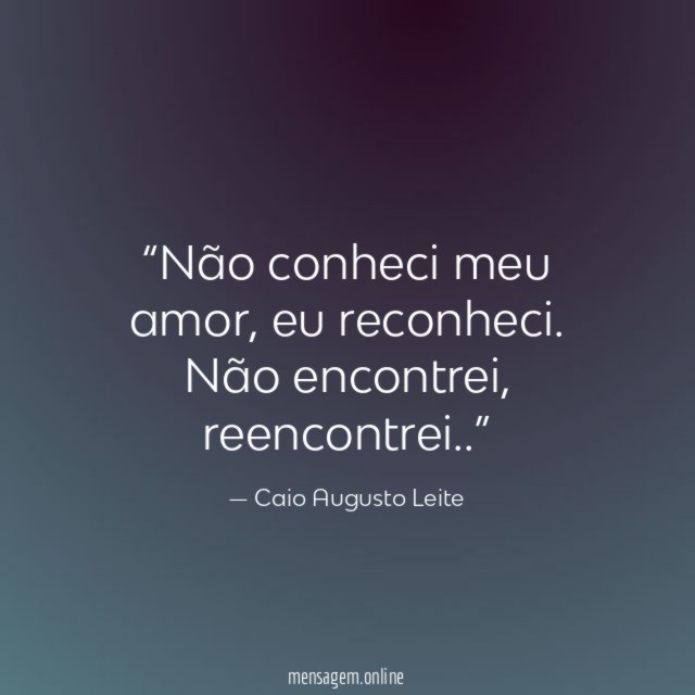 Não conheci meu amor