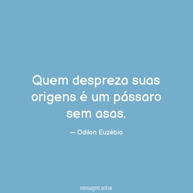 Quem despreza suas origens é um pássaro sem asas