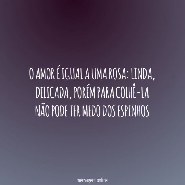 O amor é igual a uma rosa