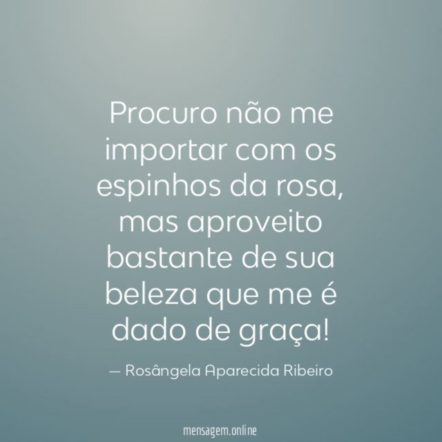 Procuro não me importar com os espinhos da rosa