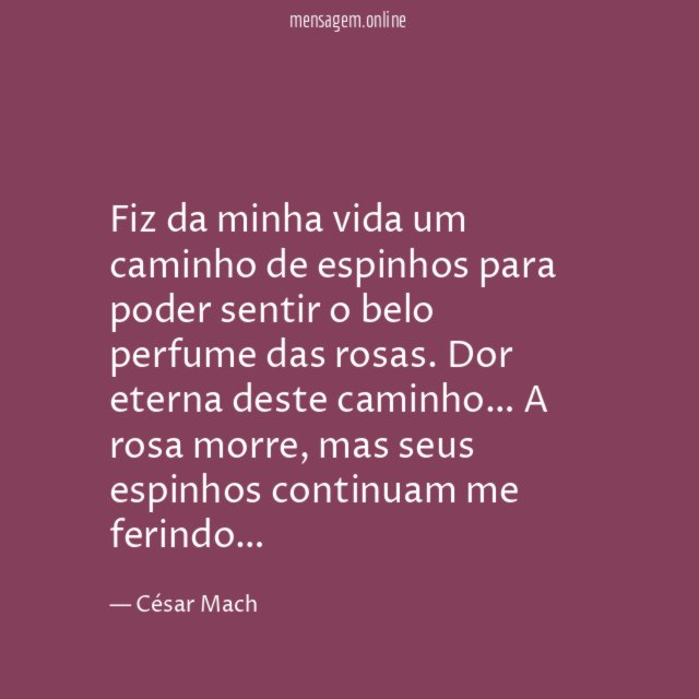 Fiz da minha vida um caminho de espinhos