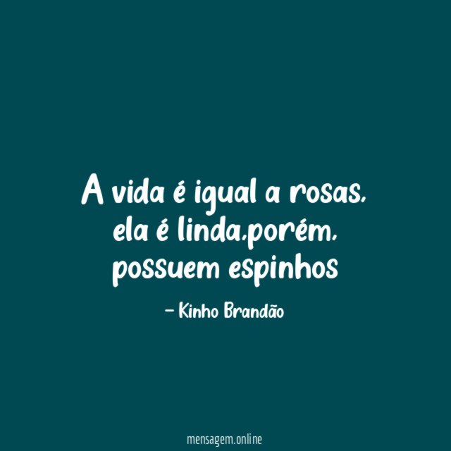 A vida é igual a rosas