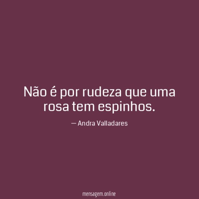 Não é por rudeza que uma rosa tem espinhos