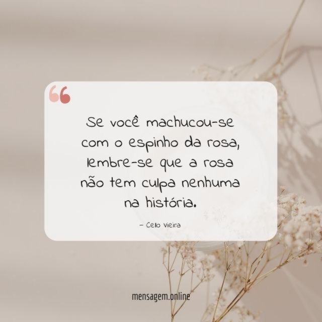 Se você machucou-se com o espinho da rosa