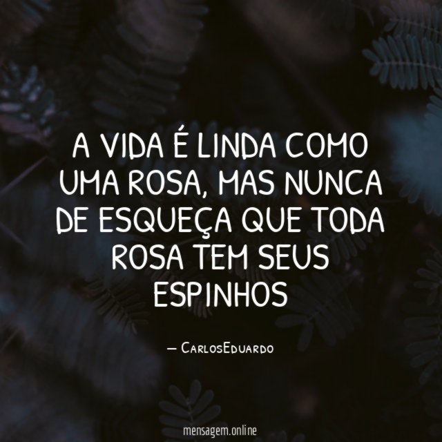 A VIDA É LINDA COMO UMA ROSA