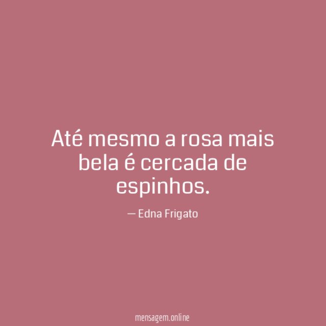Até mesmo a rosa mais bela é cercada de espinhos