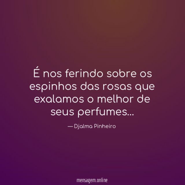 É nos ferindo sobre os espinhos das rosas