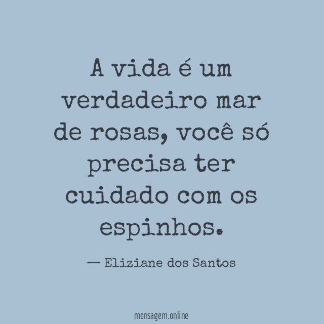 A vida é um verdadeiro mar de rosas