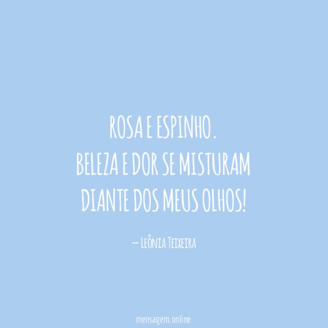 Rosa e espinho