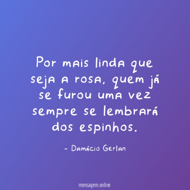Por mais linda que seja a rosa