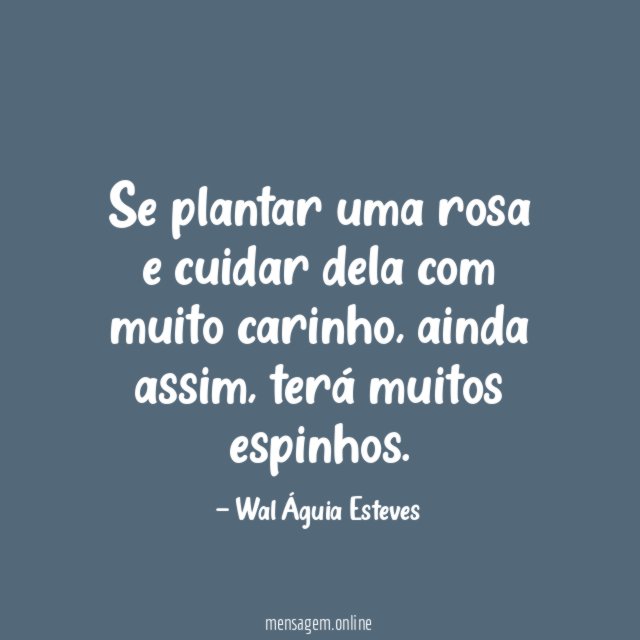 Se plantar uma rosa e cuidar dela com muito carinho