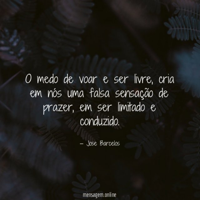 O medo de voar e ser livre
