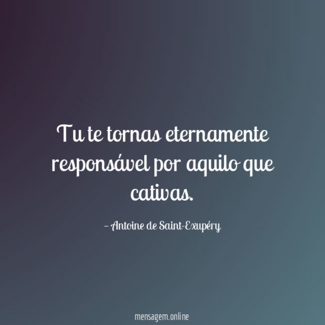 Tu te tornas eternamente responsável por aquilo que cativas