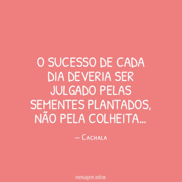 O sucesso de cada dia deveria ser julgado pelas sementes plantados