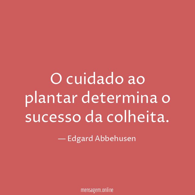 O cuidado ao plantar determina o sucesso da colheita