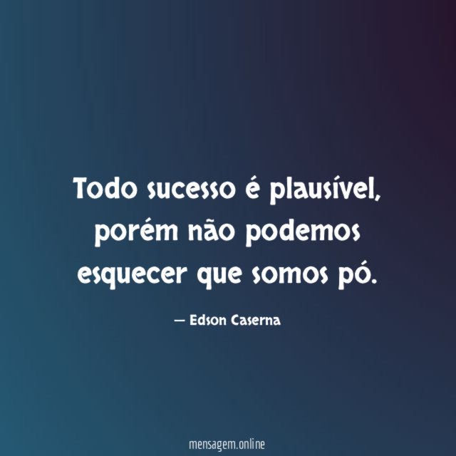 Todo sucesso é plausível