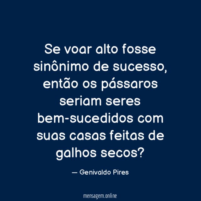 Se voar alto fosse sinônimo de sucesso