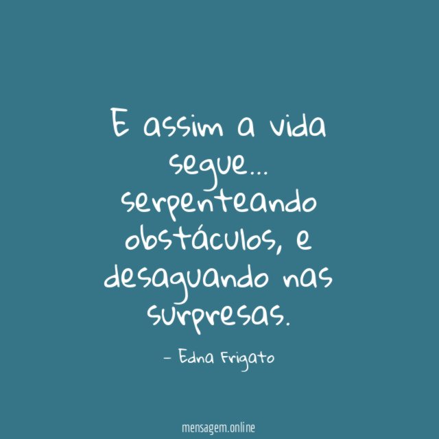E assim a vida segue