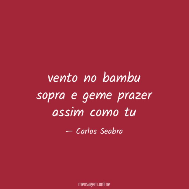 vento no bambu sopra e geme prazer assim como tu