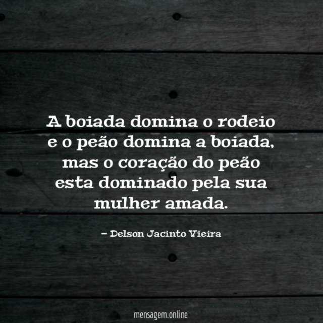 A boiada domina o rodeio e o peão domina a boiada