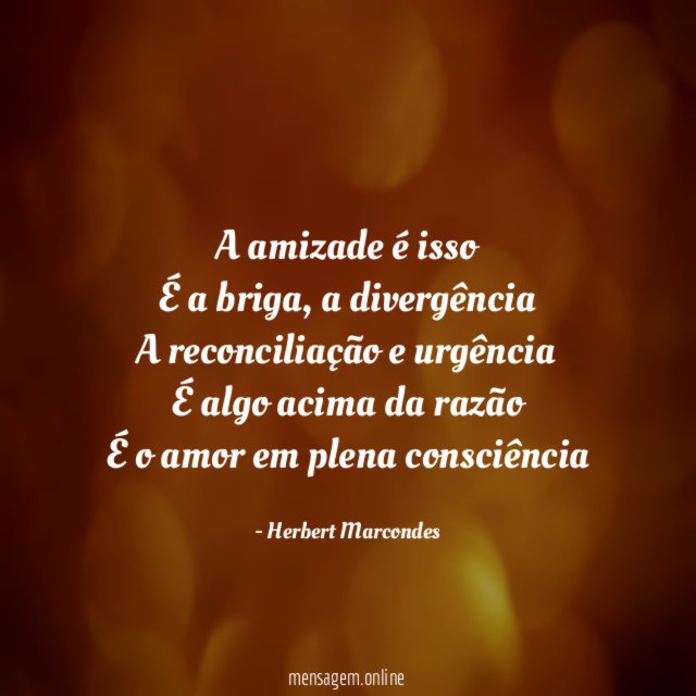 A amizade é isso É a briga