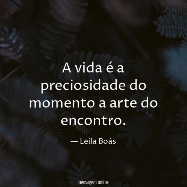 A vida é a preciosidade do momento a arte do encontro
