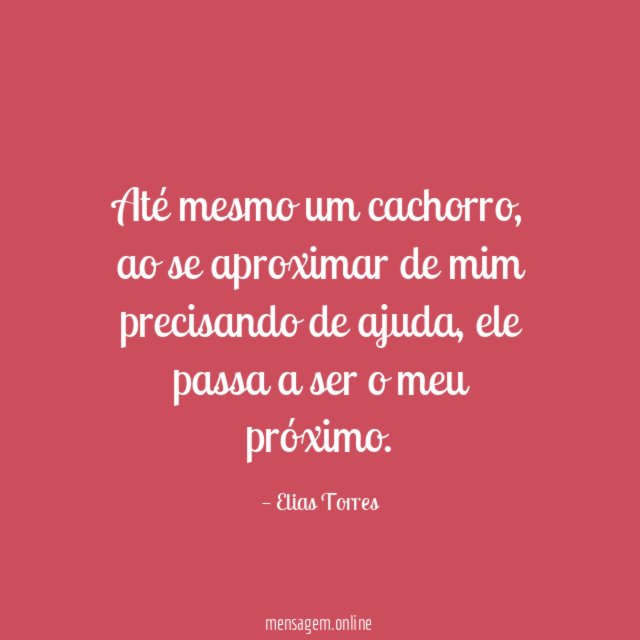 Até mesmo um cachorro