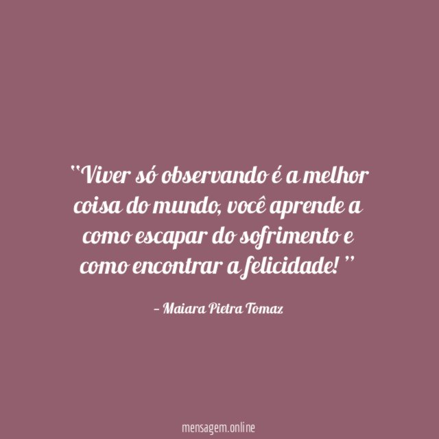 Viver só observando é a melhor coisa do mundo