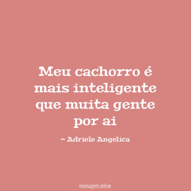 Meu cachorro é mais inteligente que muita gente por ai