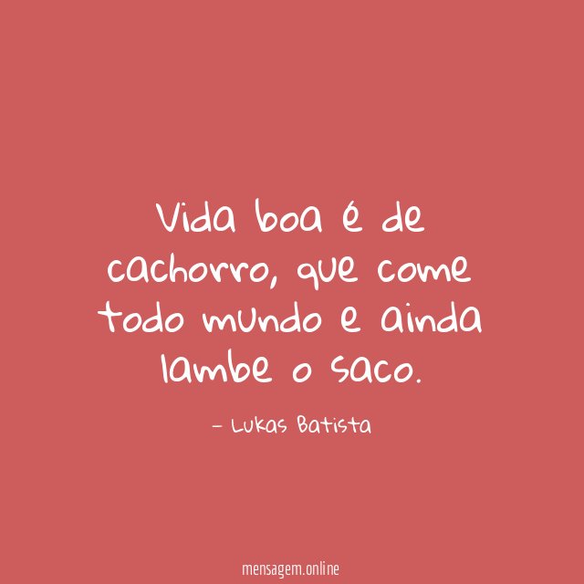 Vida boa é de cachorro