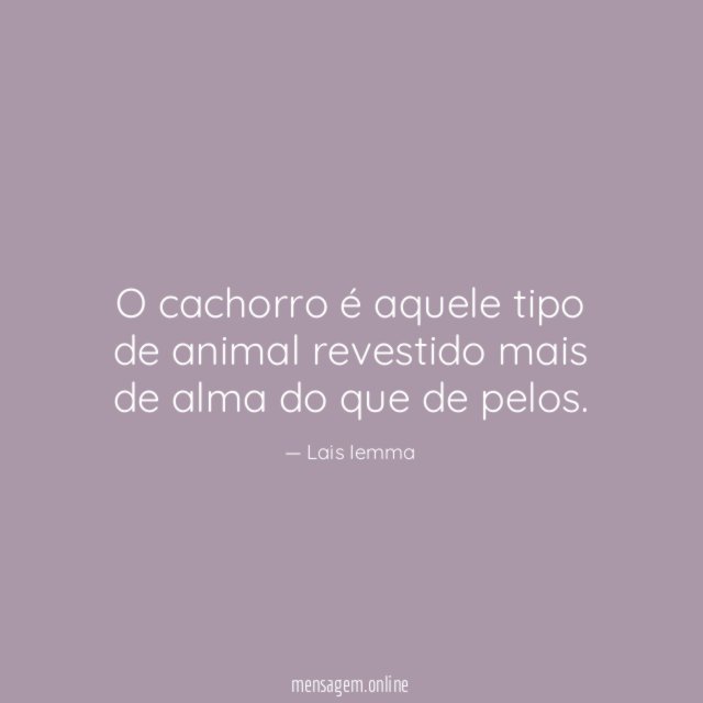 O cachorro é aquele tipo de animal revestido