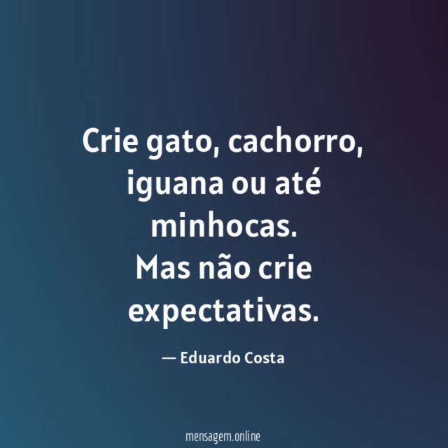 Crie gato