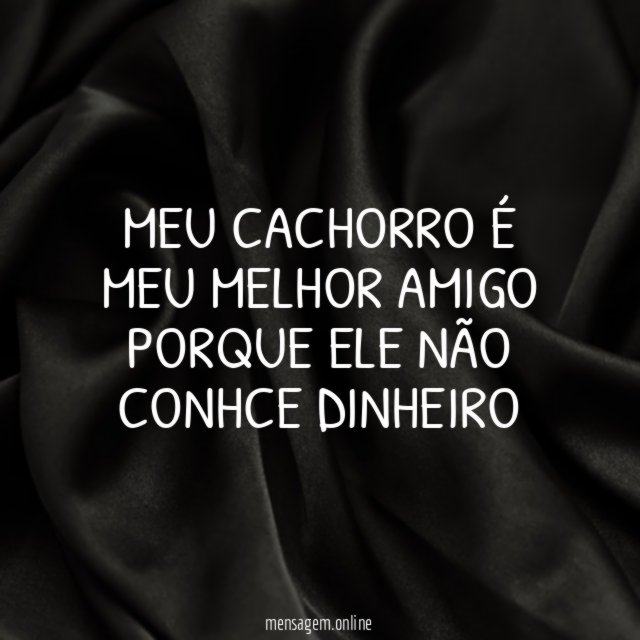 Meu cachorro é meu melhor amigo porque ele não conhce dinheiro"