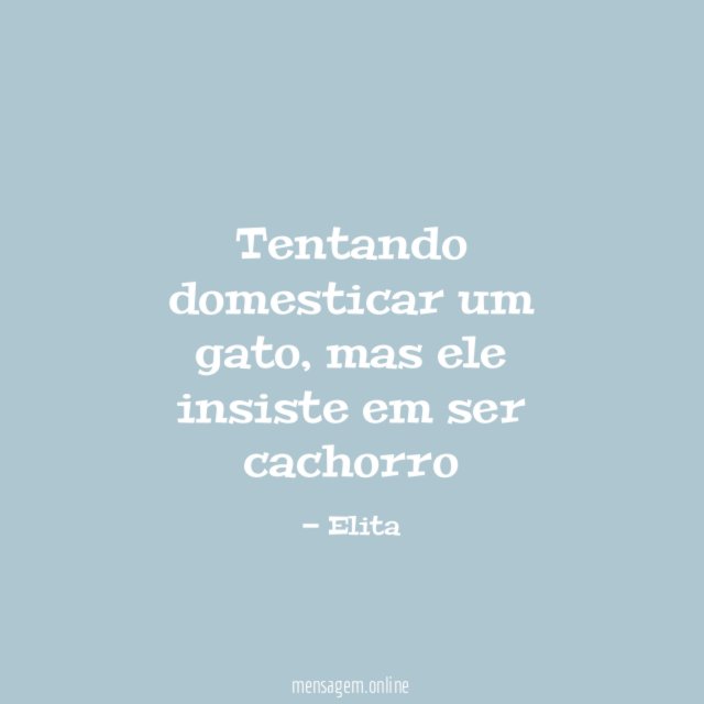 Tentando domesticar um gato