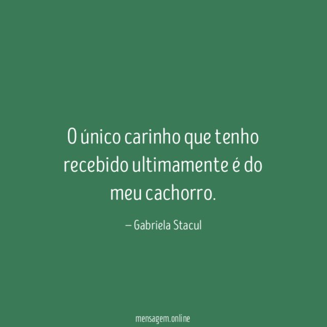 O único carinho que tenho recebido ultimamente é do meu cachorro