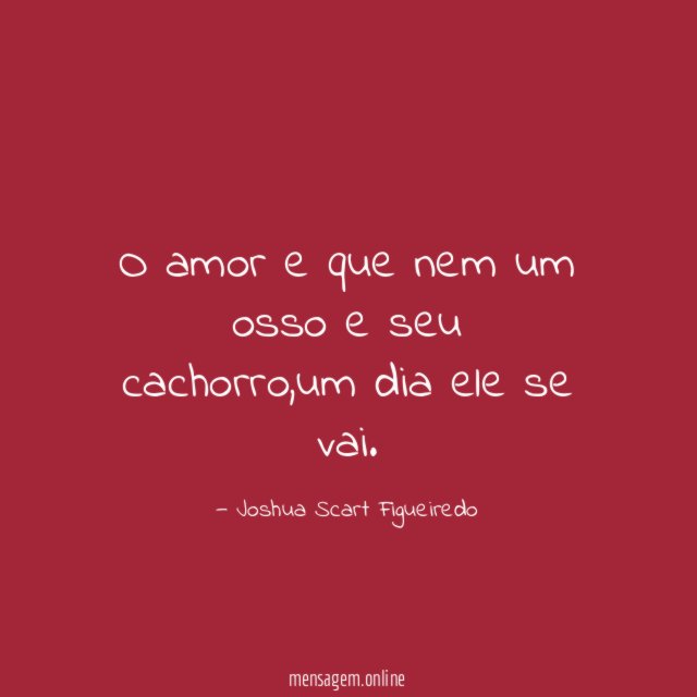 O amor e que nem um osso e seu cachorro