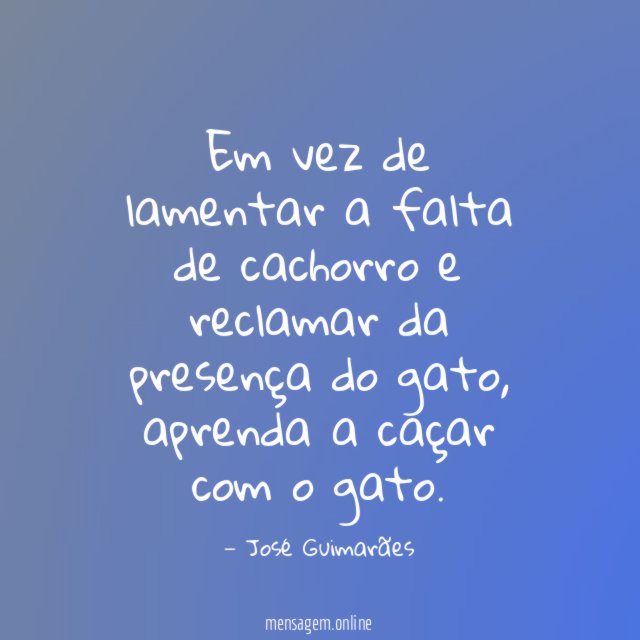 Em vez de lamentar a falta de cachorro