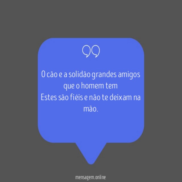 O cão e a solidão grandes amigos que