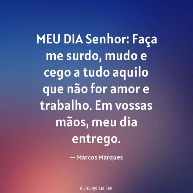 MEU DIA
