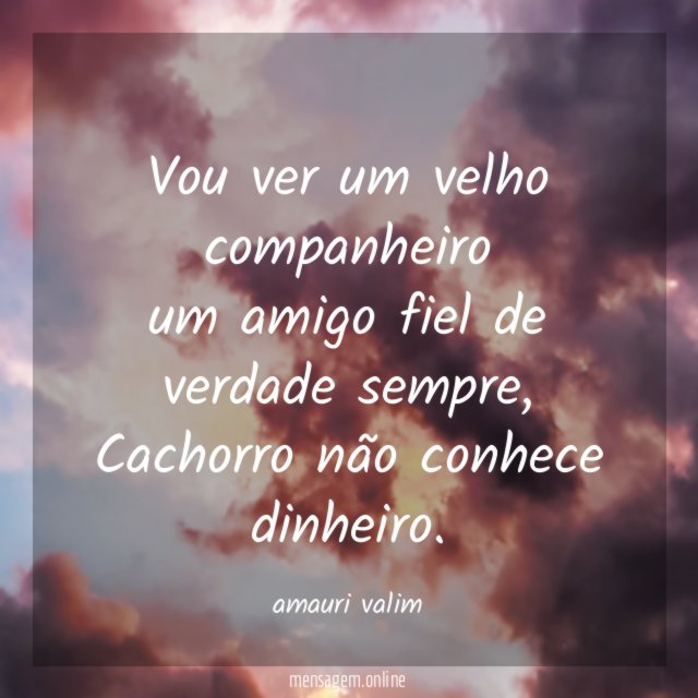 Vou ver um velho companheiro um amigo fiel de verdade sempre