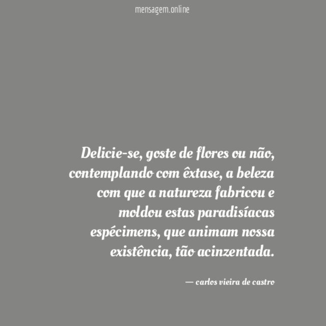 Delicie-se