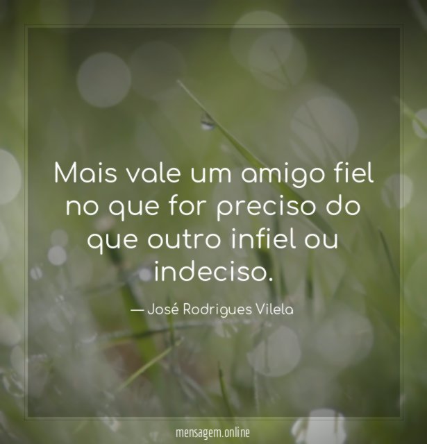 Mais vale um amigo fiel no que for