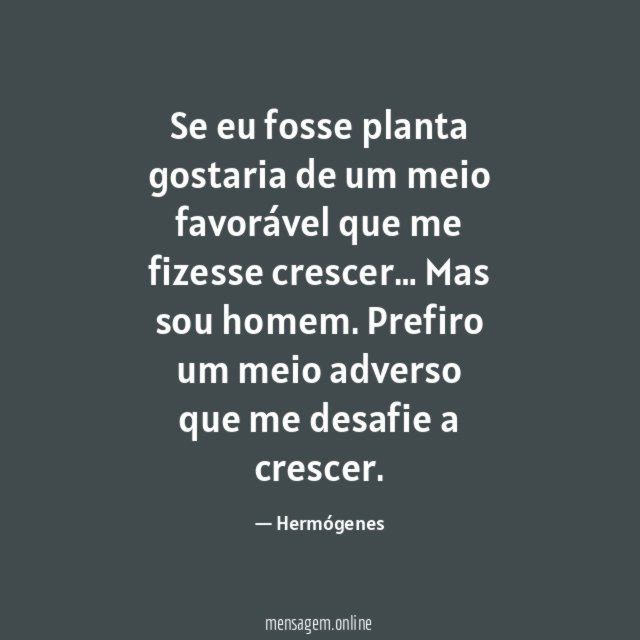 Se eu fosse planta gostaria de um meio